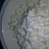 buy milk kefir grains